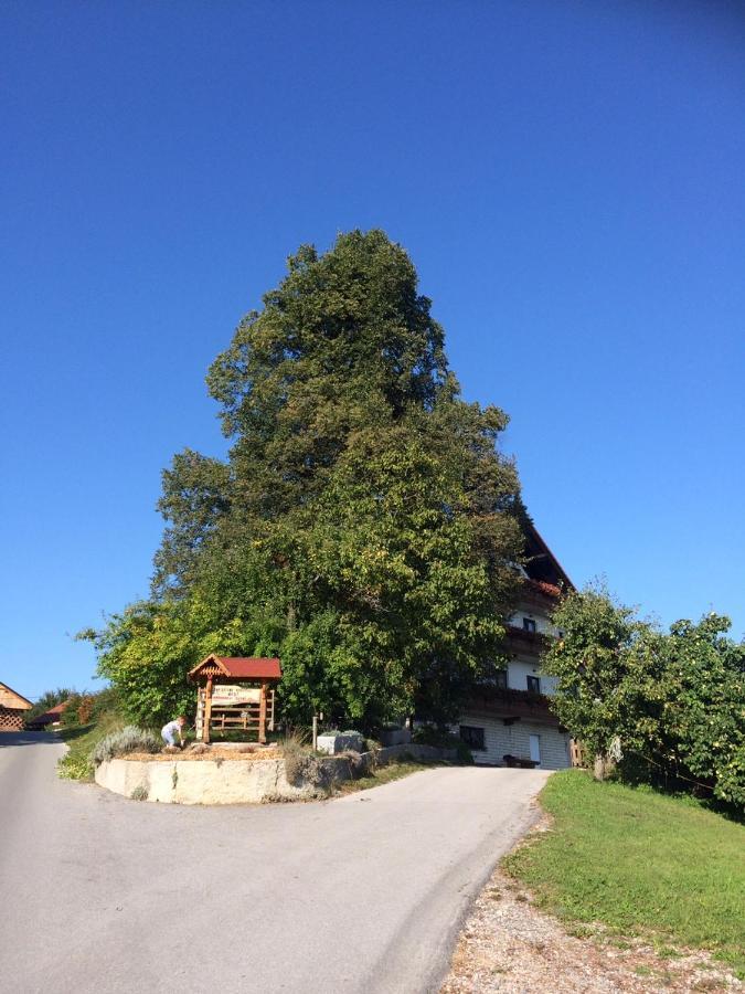 Country House Apat Sostanj Exterior photo