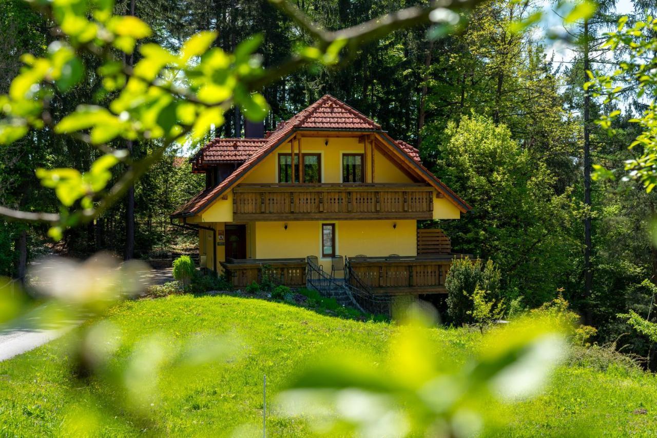 Country House Apat Sostanj Exterior photo